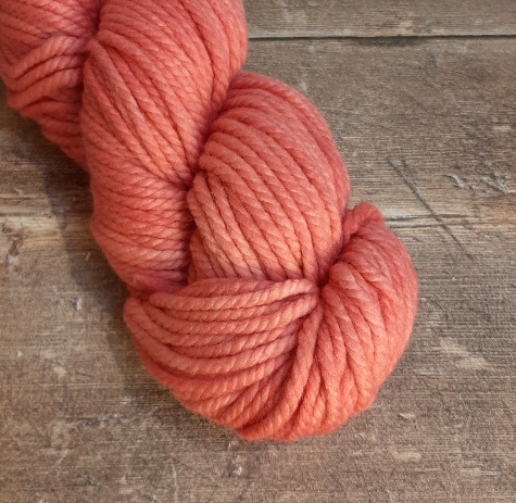 Malabrigo Chunky Yarn  100g - Cactus Flower